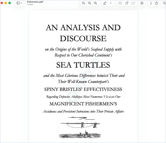Converted PDF file showing the output generated from a DOCX document