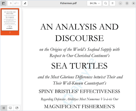 Converted PDF file showing the output generated from a DOCX document