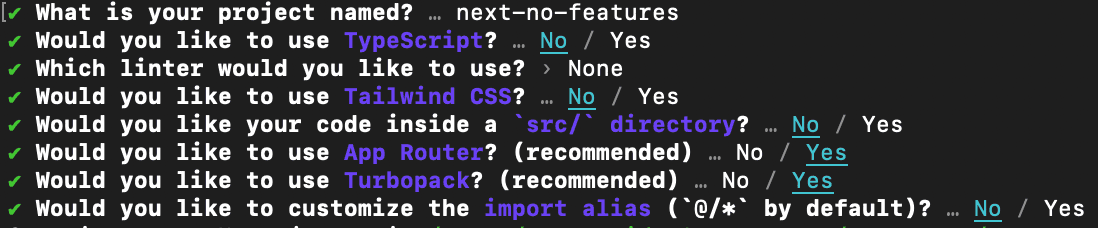 Selections made during Next.js project setup for this tutorial.