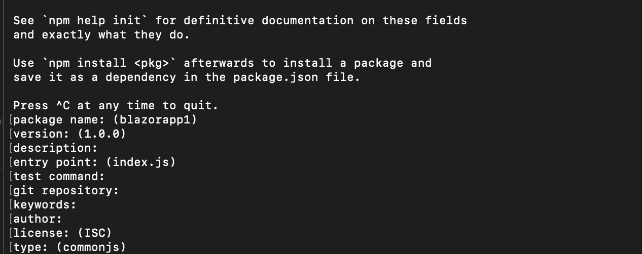 Questions to answer on the command line when you initialize the project.