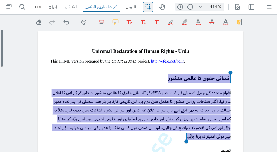RTL Language Support Example Image